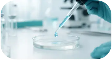 Laboratorio EchoFree