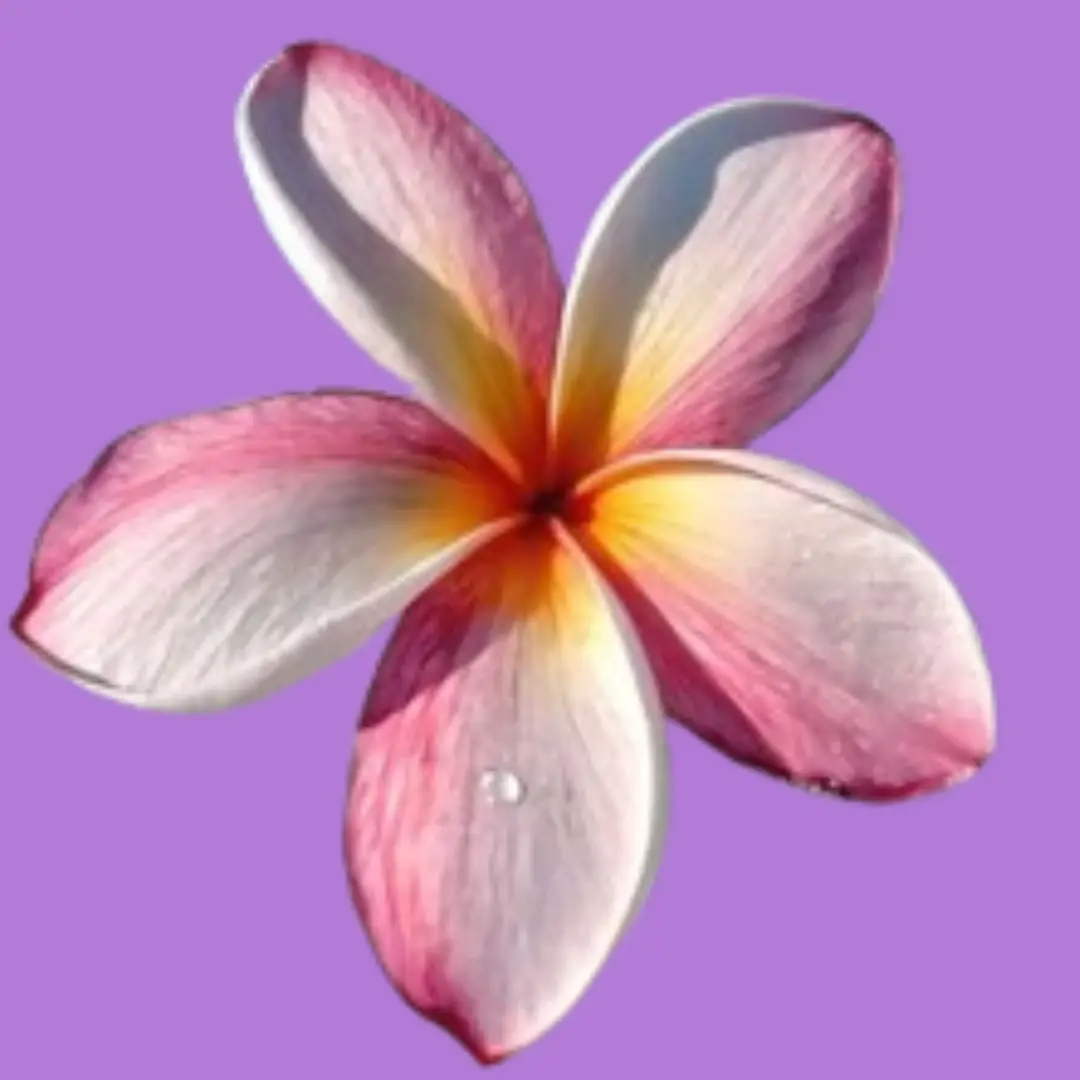 BIENVENIDA PRIMAVERA