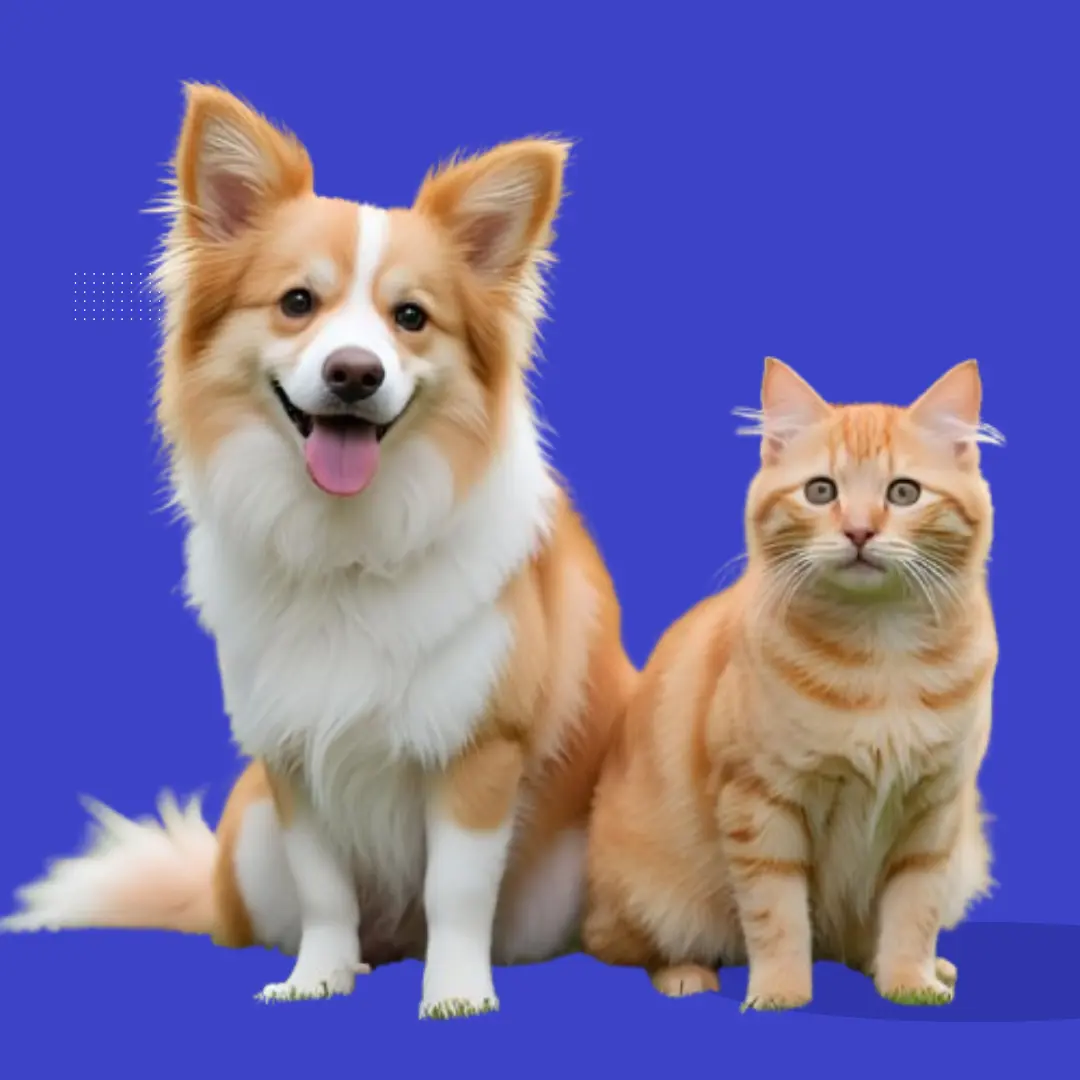 MASCOTAS