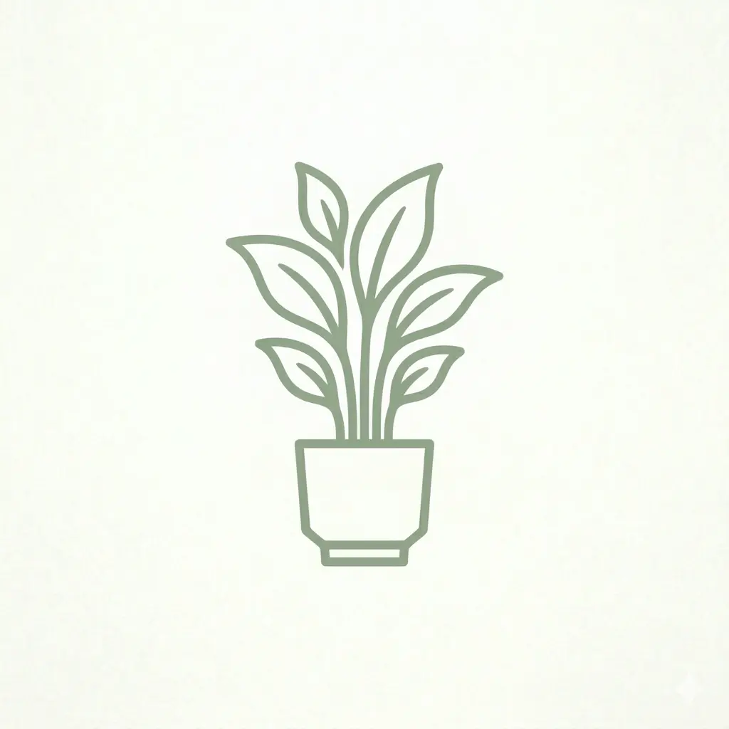 Organización & Deco