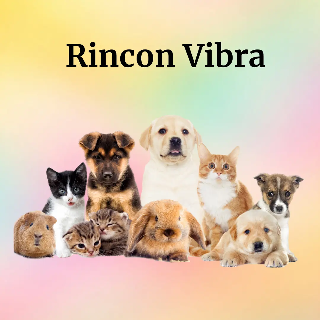 Mascotas