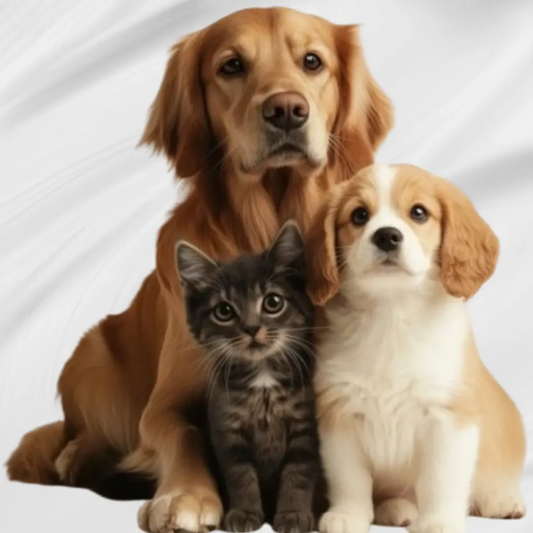 Mascotas