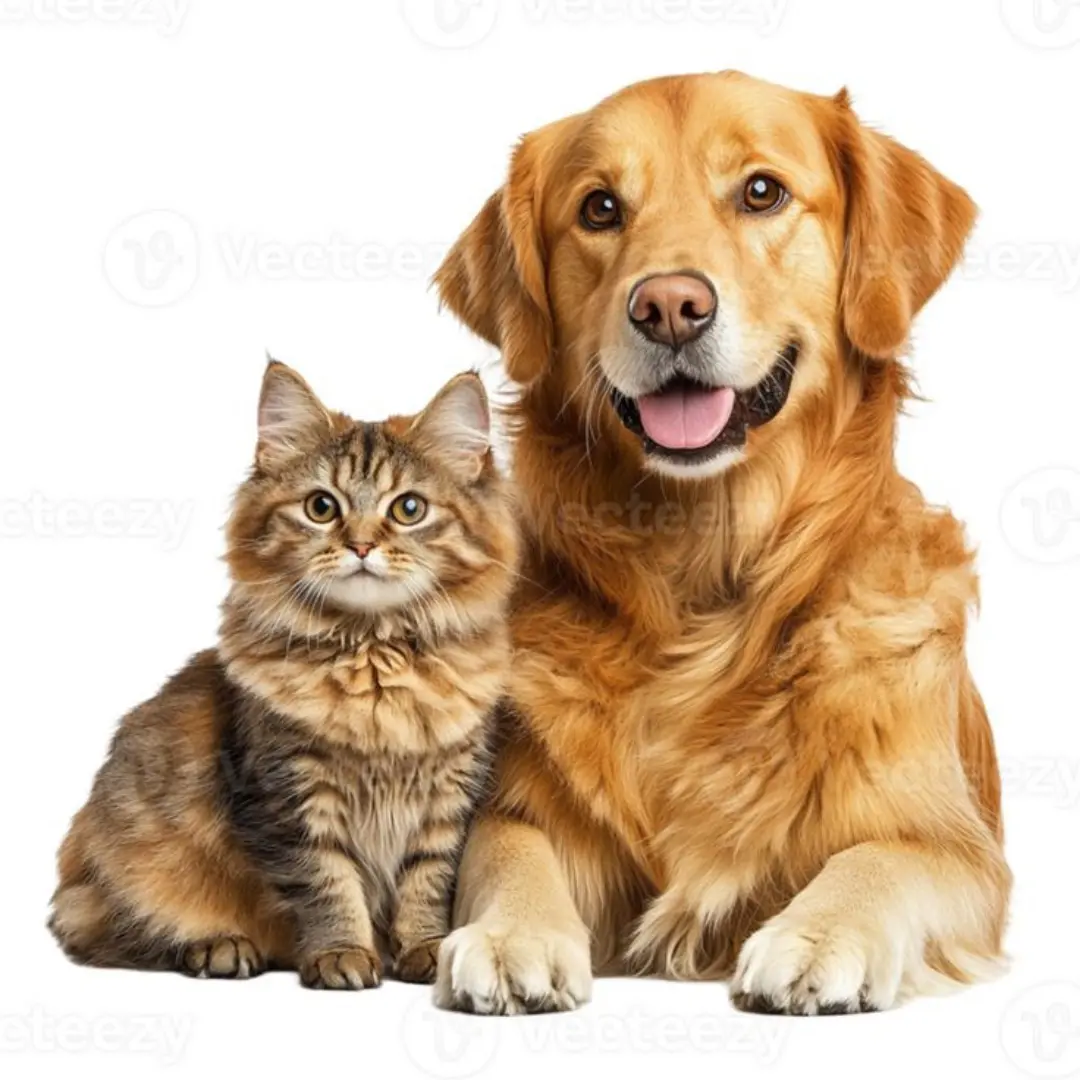 MASCOTAS