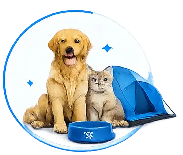 Mascotas y Camping