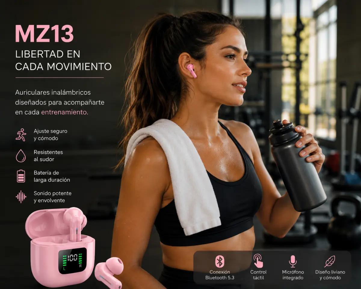 Diseño MZ13