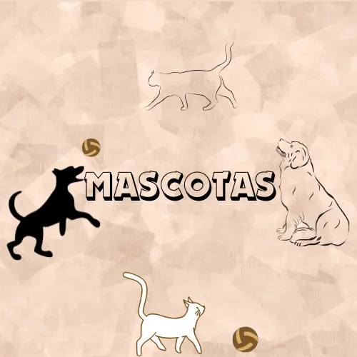 Mascotas